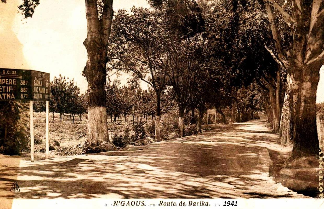 N'Gaous - Route de Barika.jpg
